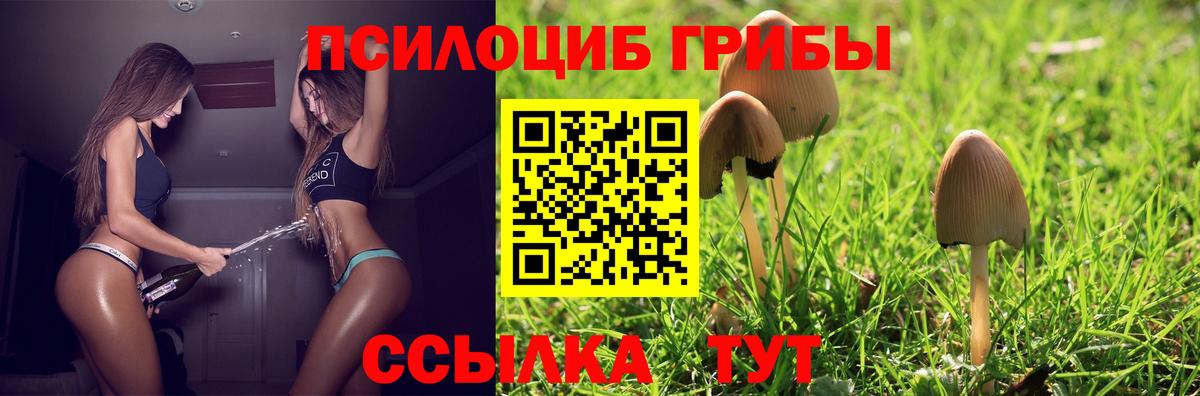Галлюциногенные грибы MAGIC MUSHROOMS Кольчугино