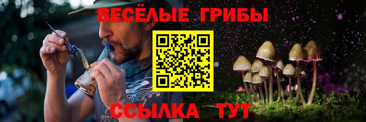 Галлюциногенные грибы GOLDEN TEACHER  Вход с VPN  купить закладку  Кольчугино 